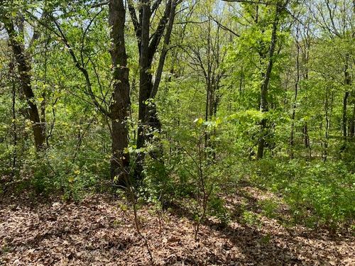0 E Woodlawn Cir, Rogersville, MO, 65742 | Card Image