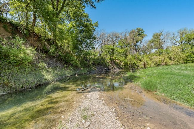 Creek | Image 13