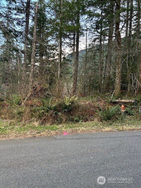 Land in North Bend 4