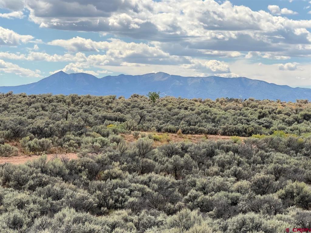 Land in Dove Creek