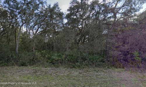 7149 Alloy St, Webster, FL, 33597 | Card Image