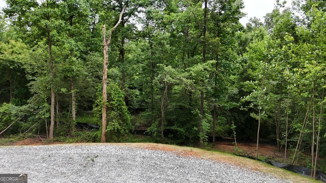 3.18 ACRES Wilkinson Rd, Home with 0 bedrooms, 0 bathrooms and null parking in Baldwin GA | Image 4