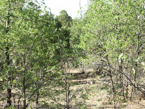 Lot C Lamb Dr, Pinedale, AZ, 85934 | Card Image