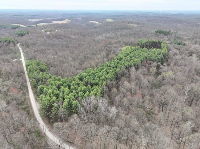 0 Don Wiley Rd, Home with 0 bedrooms, 0 bathrooms and null parking in Caldwell OH | Image 31