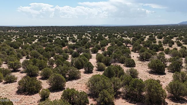 DJI_20250503100227_0027_D | Image 18