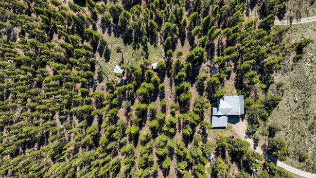 1305 Lakeside Dr, House other with 3 bedrooms, 4 bathrooms and null parking in FAIRPLAY CO | Image 37
