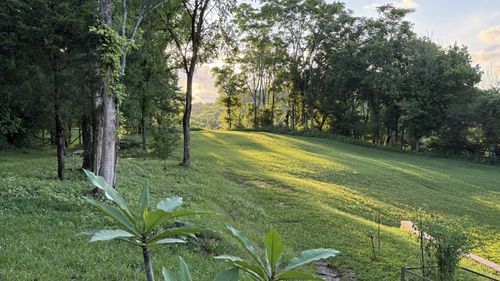 2022 Southport Rd, Culleoka, TN, 38451-2003 | Card Image