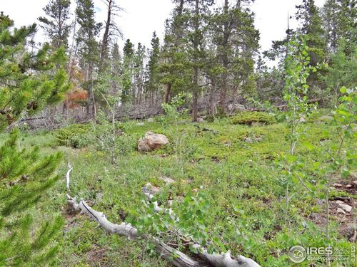 1683 Osage Trl, Red Feather Lakes, CO, 80545-8611 | Card Image