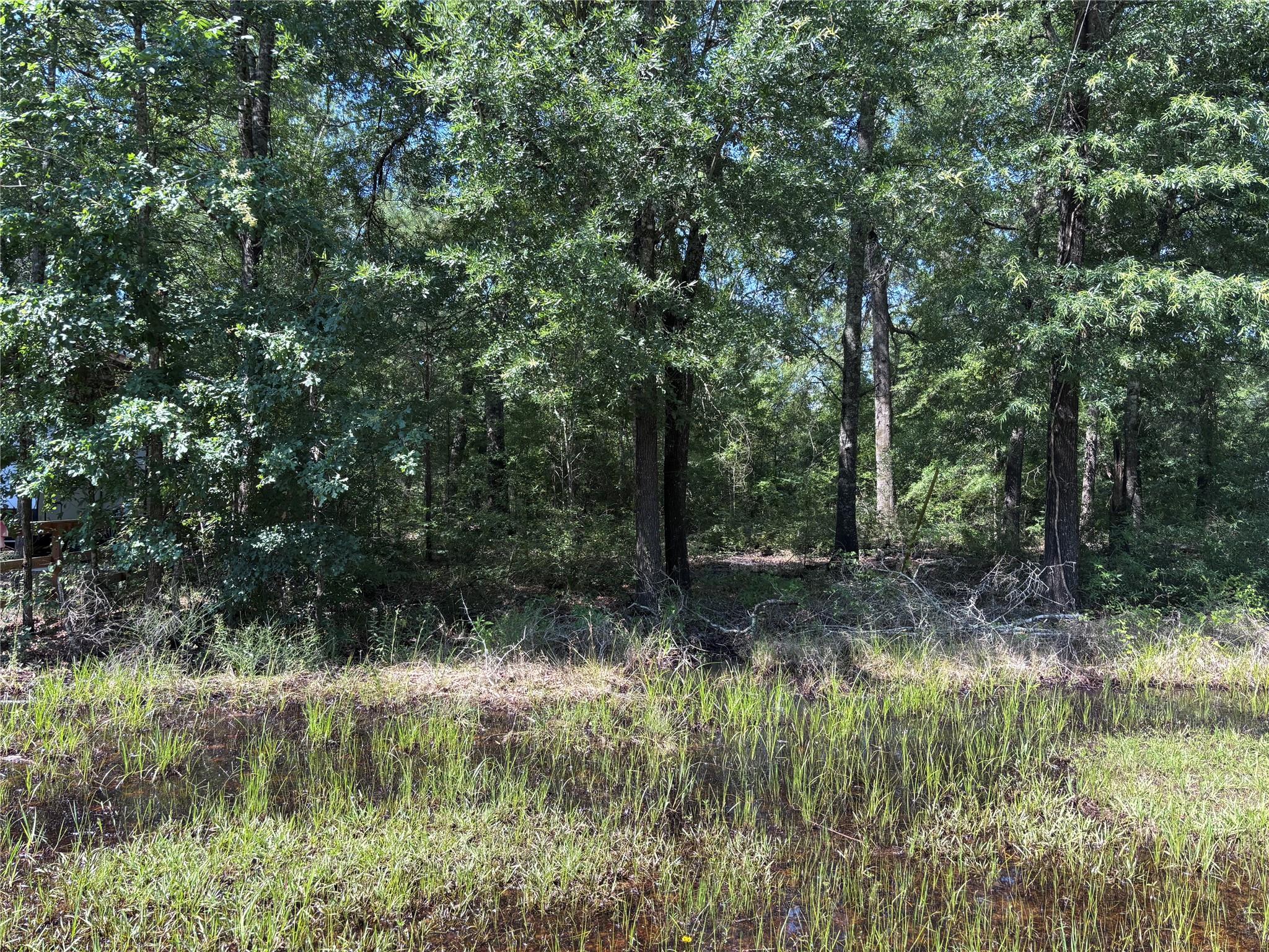 Land in Livingston