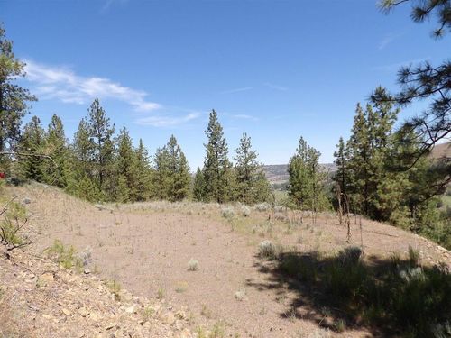 Lot 2 Chukar Short Plat Ln, Davenport, WA, 99122 | Card Image