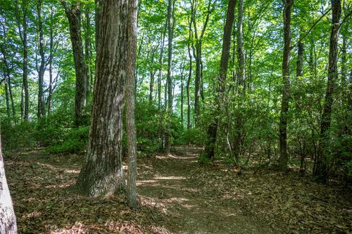 TMI 33 Toxaway Drive, Lake Toxaway, NC, 28747 | Card Image