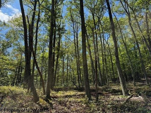 lot-71-trout-pass-sd-71 Trout Pass, Lost River, WV, 26810 | Card Image