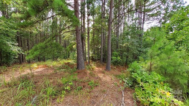 Area of proposed home~~ | Image 7