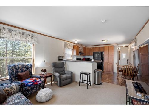 509 John Dr, Divide, CO, 80814 | Card Image