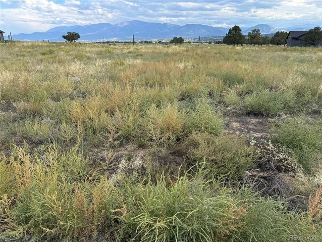 9971 Mint Ln, Home with 0 bedrooms, 0 bathrooms and null parking in Salida CO | Image 9