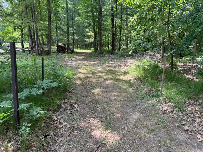 Trail down to the lake | Image 24