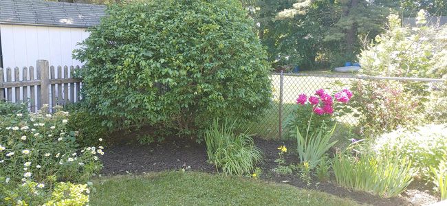 8 Cranbrook Ln, House other with 4 bedrooms, 2 bathrooms and null parking in Dover NH | Image 17