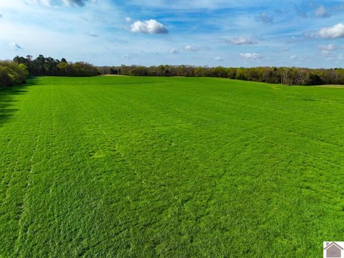 000 Cherry Corner Rd, Murray, KY, 42071 | Card Image