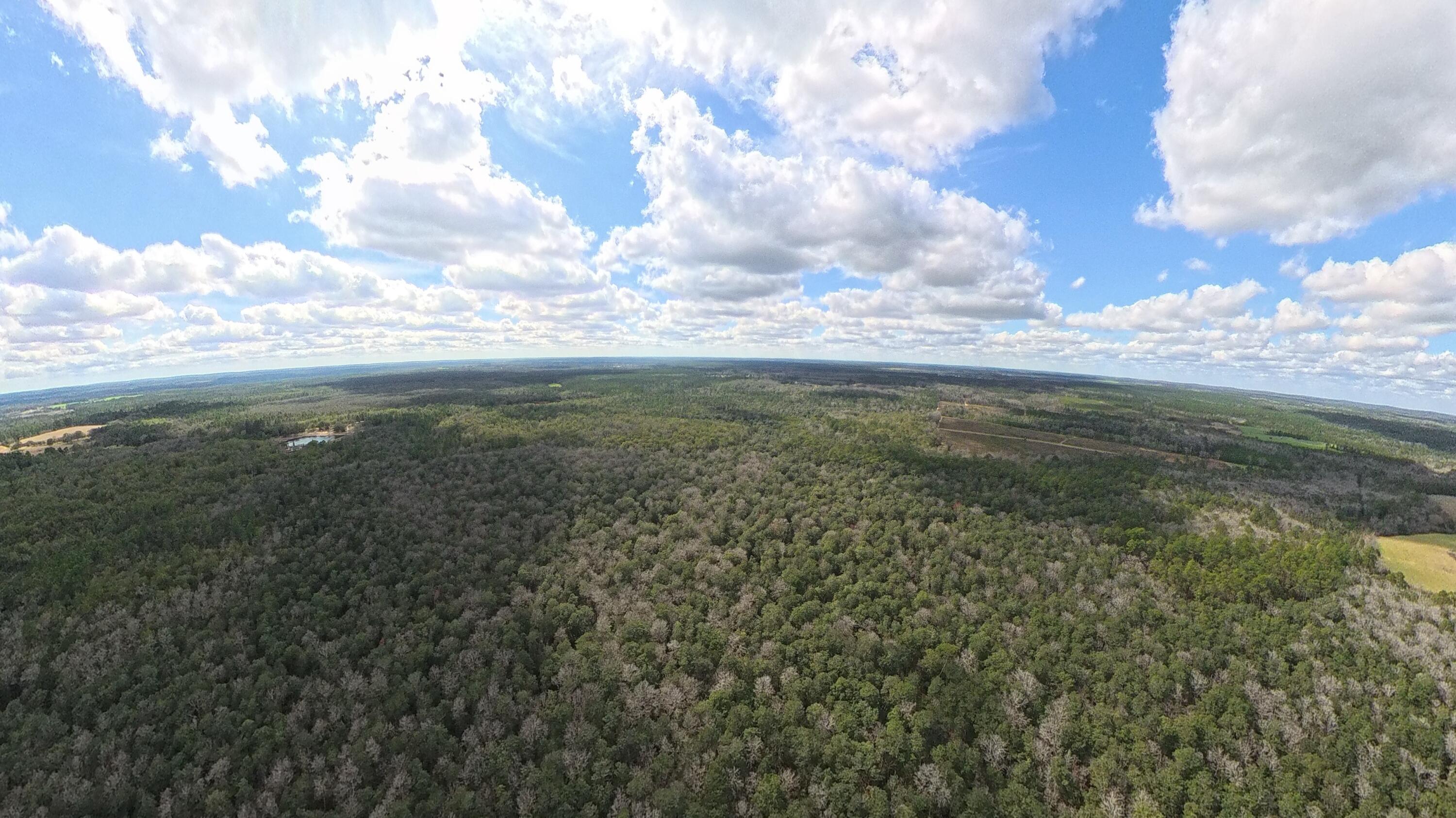 Land in DeFuniak Springs 4