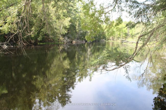 00 Betty Crt, Home with 0 bedrooms, 0 bathrooms and null parking in Wollaston ON | Image 8