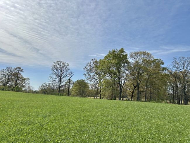 1110 Pomroy Rd, House other with 3 bedrooms, 2 bathrooms and 2 parking in Manchester TN | Image 48