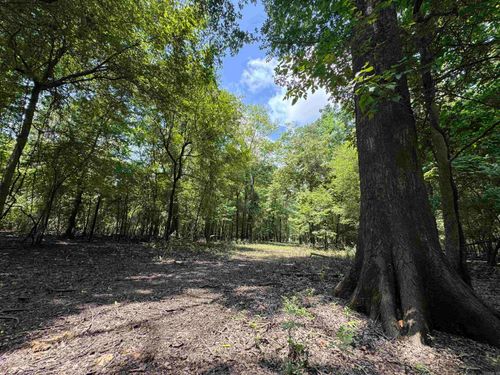 00 E Sportsman Dr, Biscoe, AR, 72017 | Card Image