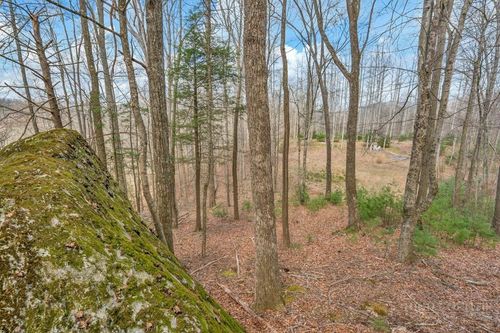 TBD Denney Wood Road, Sugar Grove, NC, 28679 | Card Image