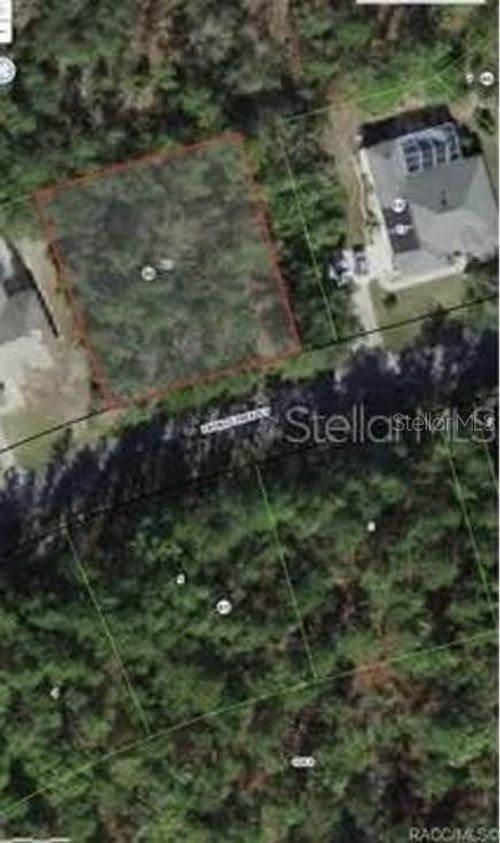 38 Fringetree St, HOMOSASSA, FL, 34446-4410 | Card Image