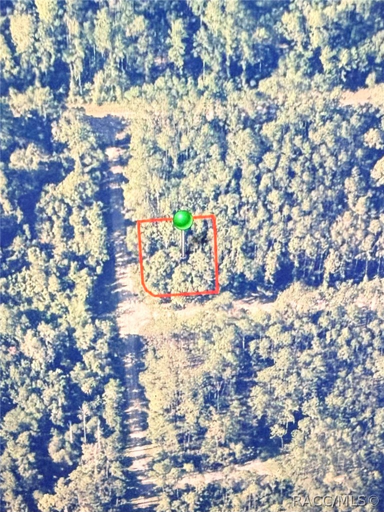 Land in Citrus Springs 3