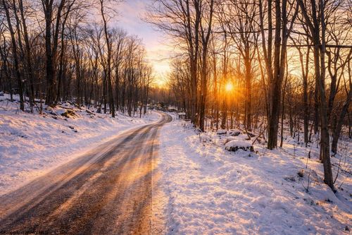 lot-124-luzerne-TBD Columbine Circle, Terra Alta, WV, 26764 | Card Image