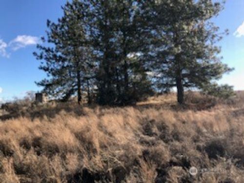 39680 Star Barn Rd N, Davenport, WA, 99122 | Card Image