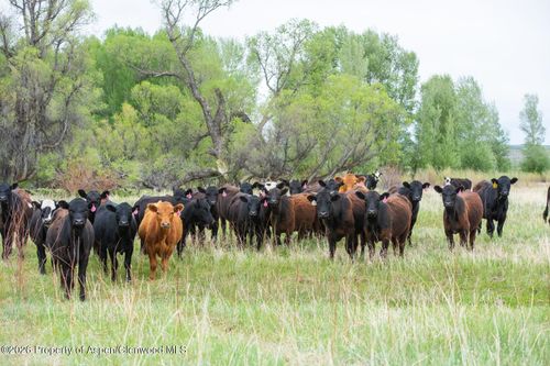 TBD County Road 77, Craig, CO, 81625 | Card Image