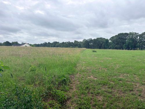 TBD LOT 2 County Road 401, Henderson, TX, 75654 | Card Image