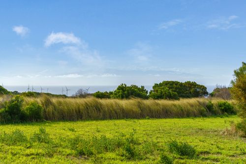 55-442 Hoea Rd, Hawi, HI, 96719 | Card Image