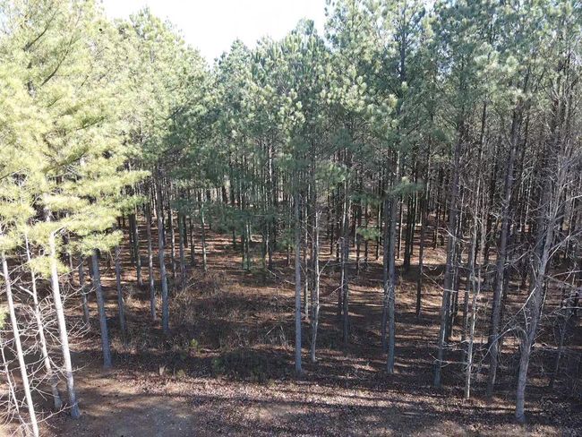 80 High Point Ln, Home with 0 bedrooms, 0 bathrooms and null parking in Jasper TN | Image 8
