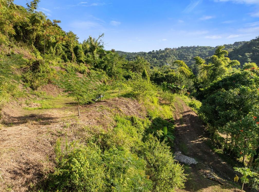 Land in ANASCO 4