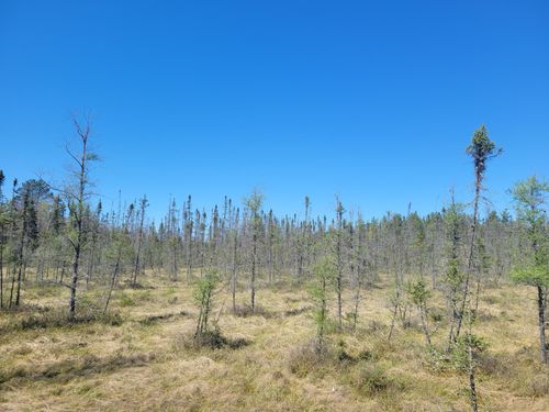 ON Cth G, Eagle River, WI, 54521 | Card Image