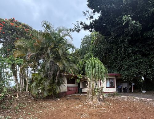 28-1135 Old Mamalahoa Hwy, PEPEEKEO, HI, 96783 | Card Image