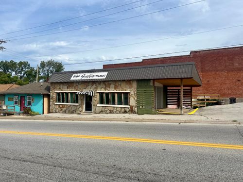 117 W Valley St, Granby, MO, 64844-8284 | Card Image