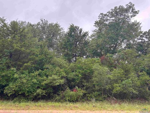 TBD Overhill Cir, Normangee, TX, 77871 | Card Image