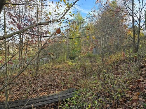 95 Zane Ln, Garrison, KY, 41141-8036 | Card Image