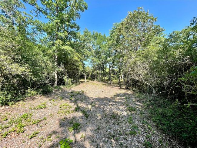 9211 Stetson Drive, Home with 0 bedrooms, 0 bathrooms and null parking in Hilltop Lakes TX | Image 5
