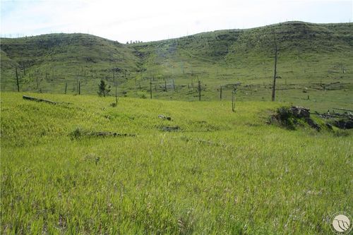 Lot 31 Skunkbelly Ln, Reed Point, MT, 59069-8051 | Card Image