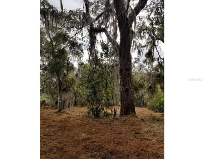 1005 N Pennybacker Rd, Home with 0 bedrooms, 0 bathrooms and null parking in Inverness FL | Image 7