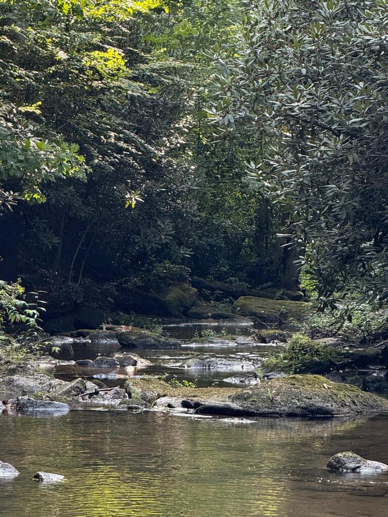Land in Cashiers 5