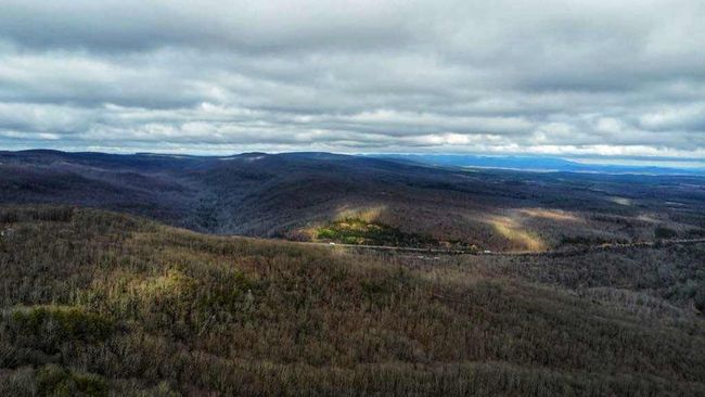 75 Renegage Mountain Parkway, Home with 0 bedrooms, 0 bathrooms and null parking in Crab Orchard TN | Image 7