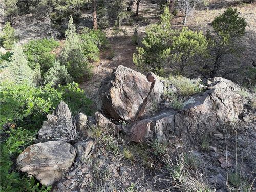 594 Maurice Dr, Cotopaxi, CO, 81223 | Card Image