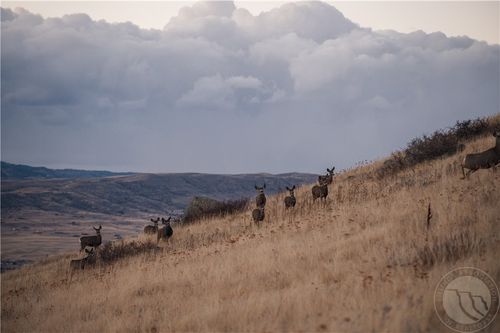 TBD Livingston Peak Road, Other, MT, 59047 | Card Image