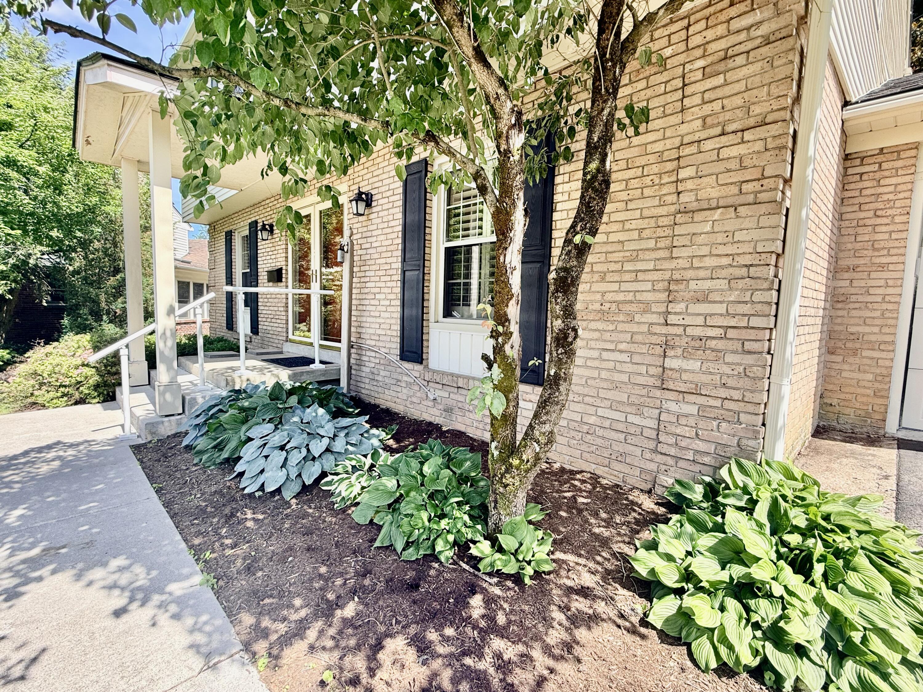 Residential in Lexington 3