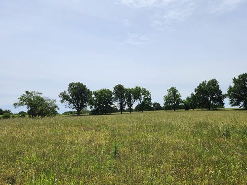 Lot 11 N Farm Road 61, Walnut Grove, MO, 65770 | Card Image